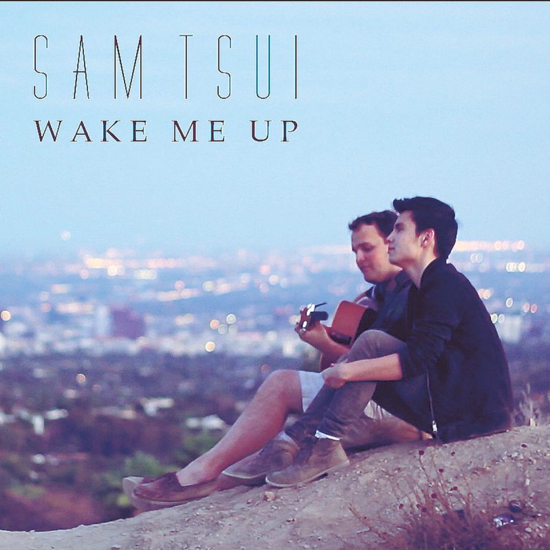 Sam Tsui - Wake Me Up - Acoustic の 歌 詞 Musixmatch.