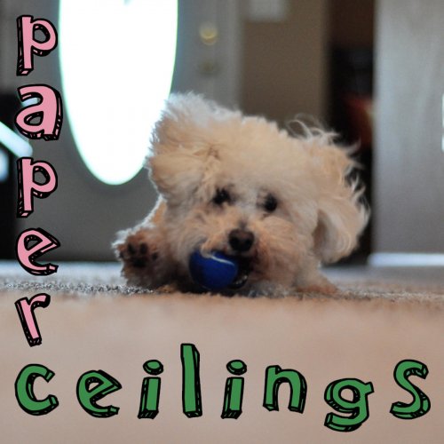 Paper Ceilings