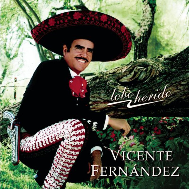 Letra De Borracho Te Recuerdo De Vicente Fernandez Musixmatch Cuando te canses de llorar. letra de borracho te recuerdo de