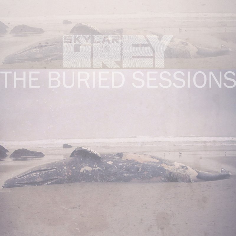 Skylar Grey Words Lyrics Musixmatch You can also use the lyrics scroller to sing along. musixmatch