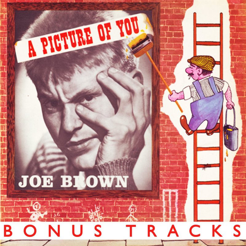Joe Brown The Bruvvers A Picture Of You Lyrics Musixmatch
