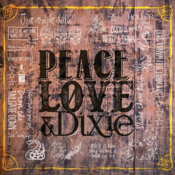 Peace Love Amp Dixie By The Cadillac Three Album Lyrics