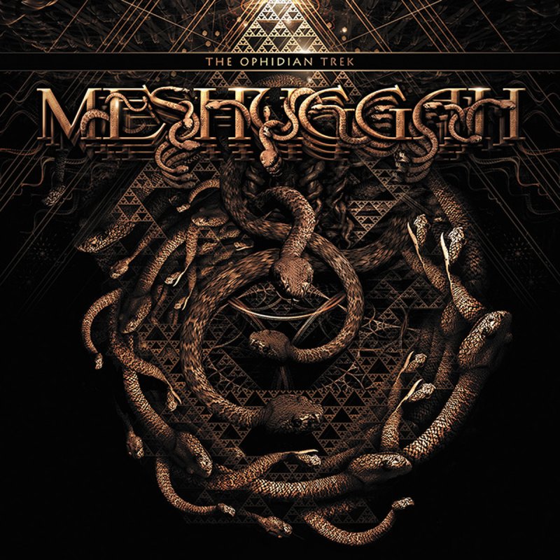 Meshuggah Do Not Look Down Live Lyrics Musixmatch