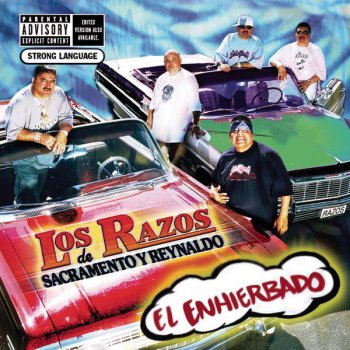 Cuando Anduve Como Perro Testo Los Razos Mtv Testi E Canzoni Aquí encontrarás los diferentes significados de andube, definiciones ,ejemplo de uso y mucho contenido extra más. cuando anduve como perro testo