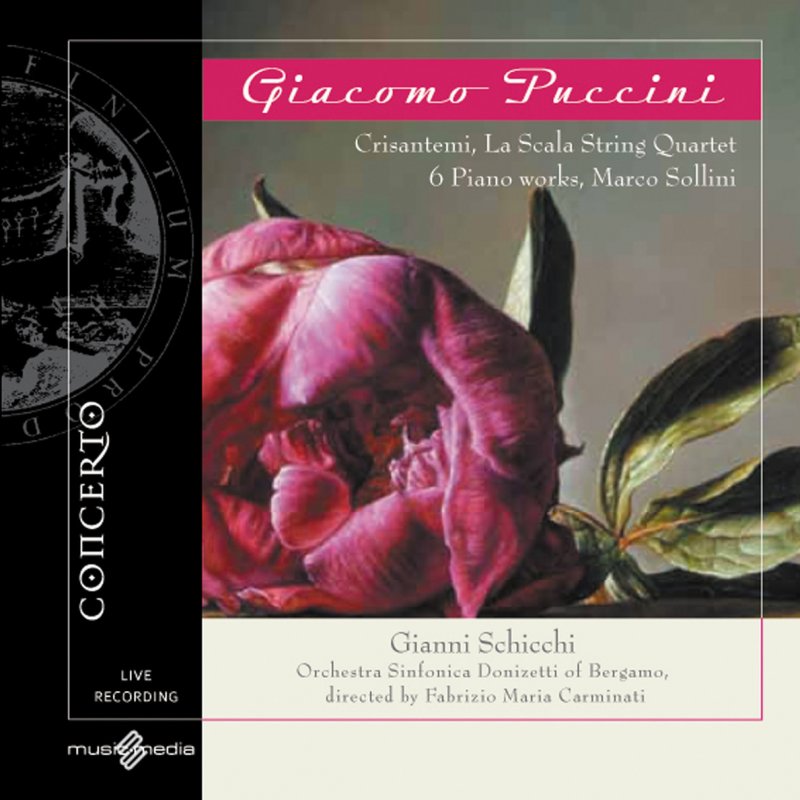 Scala strings. Картинки CD Giacomo Facco. Marco Carminati grafica & Arte купить.