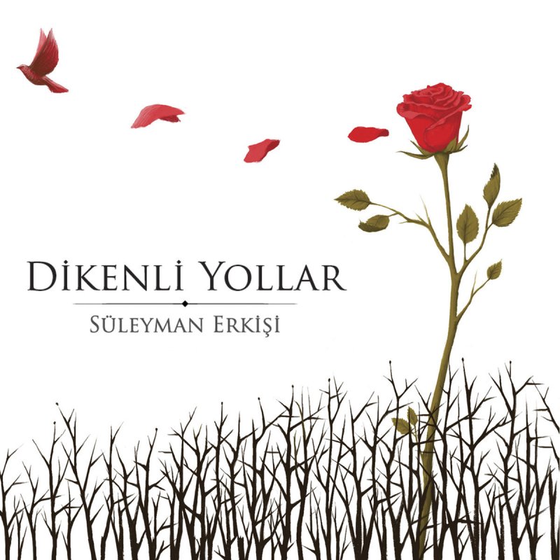 Suleyman Erkisi Mevla Gorelim Neyler Lyrics Musixmatch