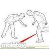 Molotov - Frijolero translation in English | Musixmatch