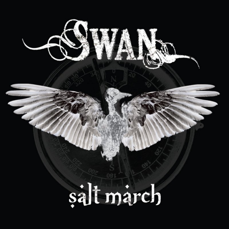 Swan song. Swans альбом обложка. Ghost Swan. Swan Song (album). Альбомы металлики Swan Song.