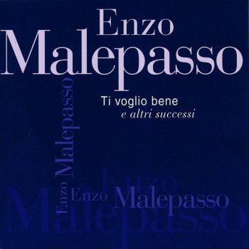 Amore Mio (Testo) - Enzo Malepasso - MTV Testi e canzoni