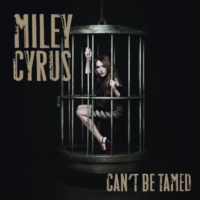 Every rose has its thorn miley cyrus free mp3 download Miley Cyrus Every Rose Has Its Thorn Lyrics Musixmatch