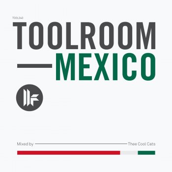 Toolroom Mexico By Thee Cool Cats Album Lyrics Musixmatch Song