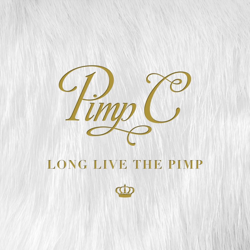 Pimp C Feat Juicy J Nas Friends Lyrics Musixmatch