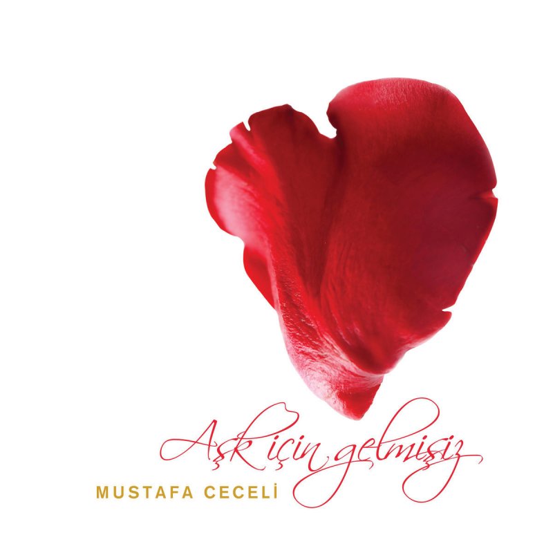Mustafa Ceceli Kar Etmez Ahim Lyrics Musixmatch
