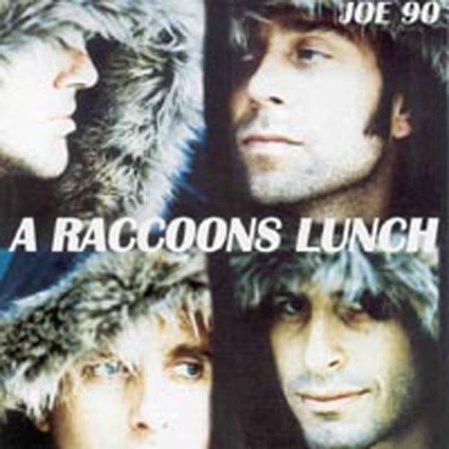 A Raccoons Lunch