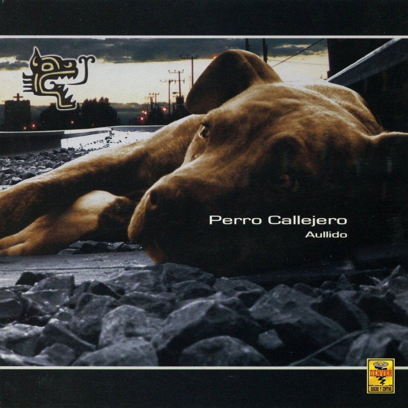 Perro Callejero Yo Quiero Ser Lyrics Musixmatch Para zafarse invaden la calzada, circulan en dirección contraria y se saltan controles, resultando a veces malheridos. perro callejero yo quiero ser lyrics