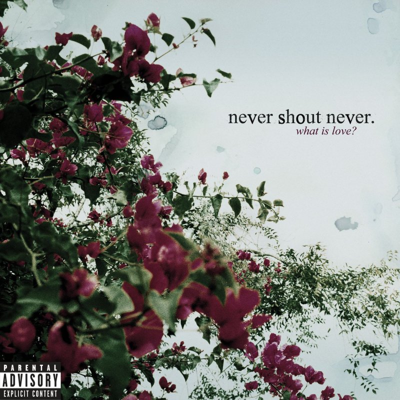 Never Shout Never What Is Love Lyrics Musixmatch