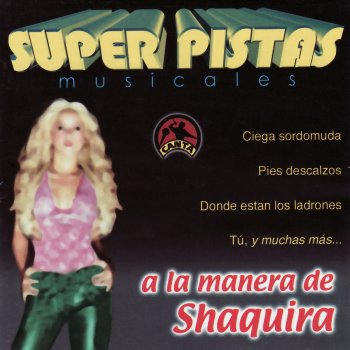 Porque mi cintura karaoke