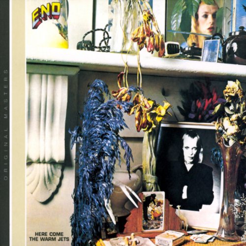 Brian Eno Needles In The Camel's Eye