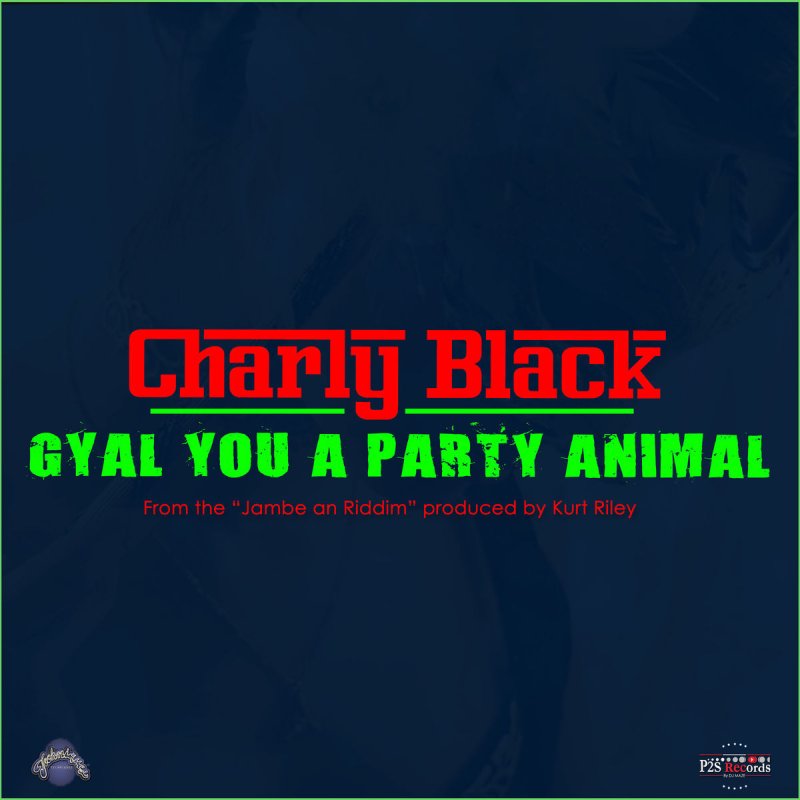 Charly Black - Gyal You a Party Animal Lyrics | Musixmatch