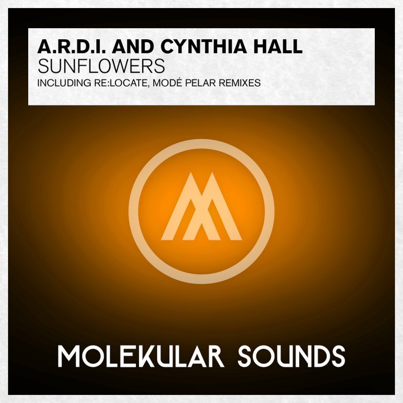 A R D I Feat Cynthia Hall Sunflowers Lyrics Musixmatch