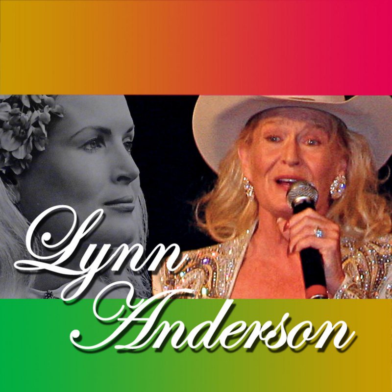 Lynn Anderson - The Devil Went Down To Georgia Lyrics | Musixmatch