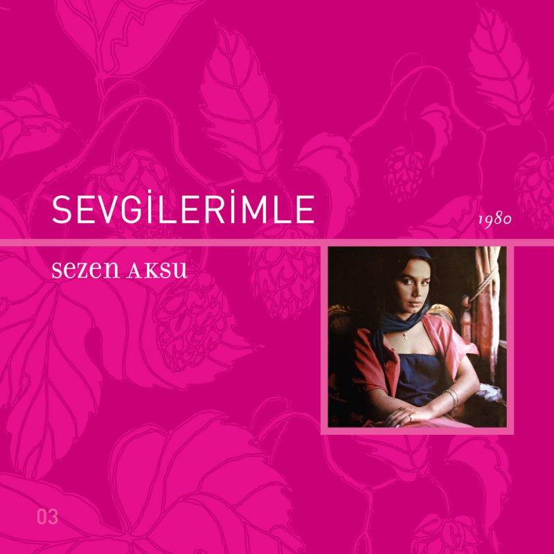 Letra De Hata De Sezen Aksu Musixmatch