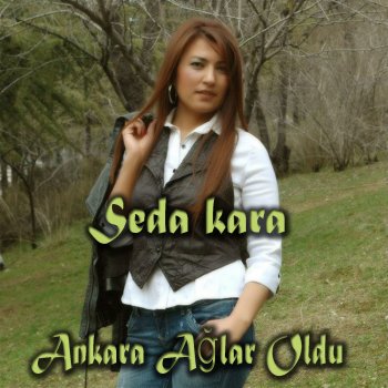 Ankara Guzelse Sebebi Sensin By Seda Kara Album Lyrics Musixmatch