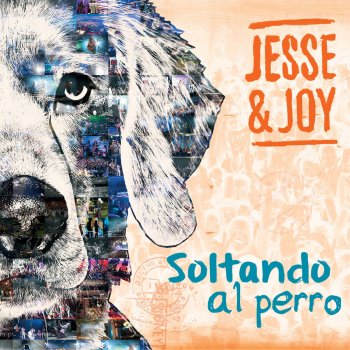 Soltando Al Perro (USA)