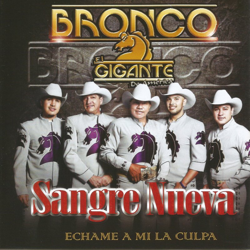 Bronco Echame A Mi La Culpa Lyrics Musixmatch