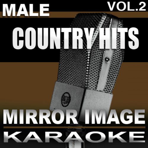 Sing the Male Country Hits, Vol. 2