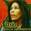 Living in the Positive Nasio Fontaine - cover art