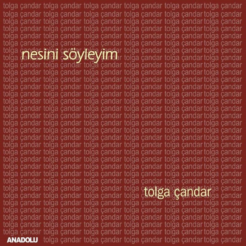 tolga candar nesini soyleyim lyrics