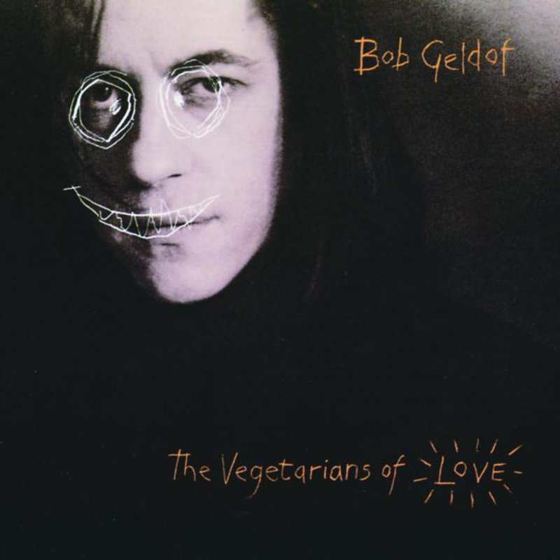 Bob Geldof The Great Song Of Indifference