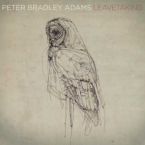 Peter Bradley Adams - The Longer I Run Lyrics | Musixmatch