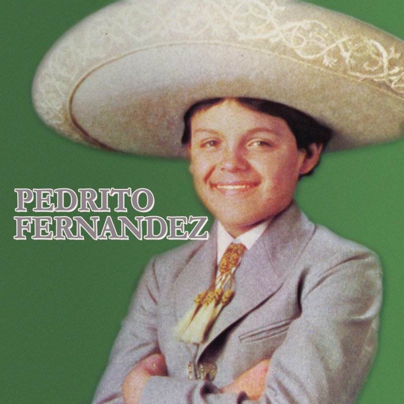 Letra de Ay Jalisco No Te Rajes de Pedrito Fernandez Musixmatch