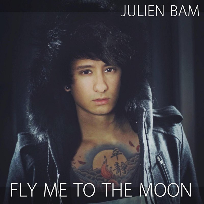 Fly Me To The Moon Julien Bam