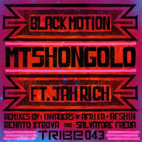 Mtshongolo [Remixes]