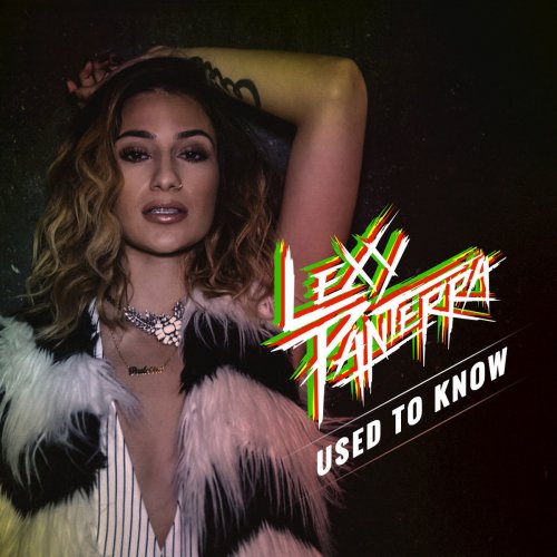 Used to Know - Single
