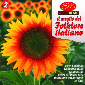 Tutti Mi Chiamano Bionda Testo Il Meglio Del Folklore Italiano Mtv Testi E Canzoni Ma bionda io non sono. testi canzoni