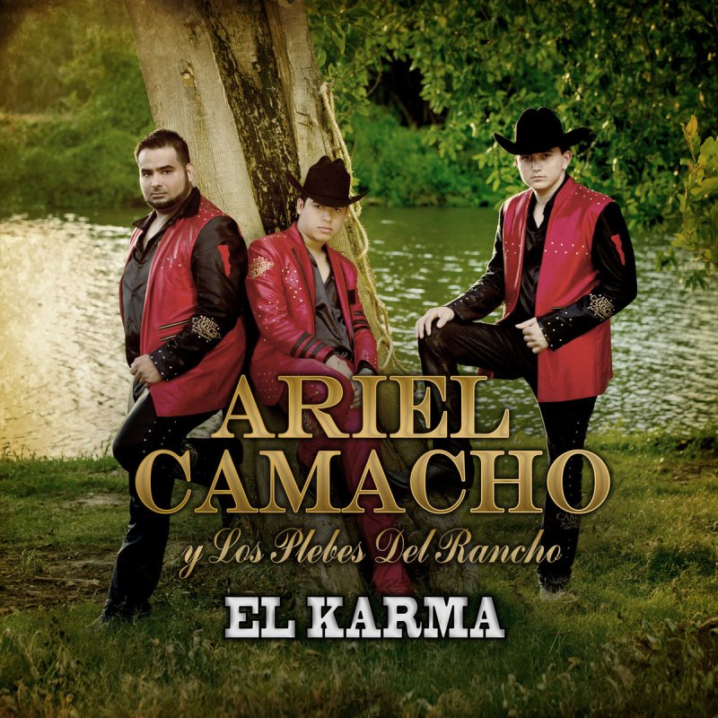 Ariel Camacho y Los Plebes Del Rancho - Te Metiste Lyrics | Musixmatch