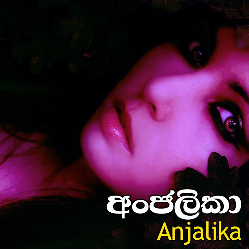 Kasun Kalhara Indika Upamali Pamawee Pipunu Mal Lyrics Musixmatch