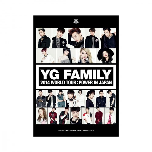 YG FAMILY WORLD TOUR 2014 -POWER- in Japan