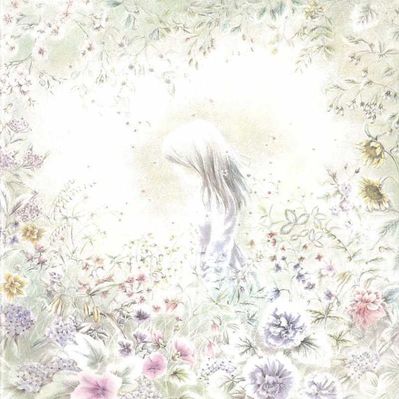 Masashi Sada 秋桜 コスモス の歌詞 Musixmatch