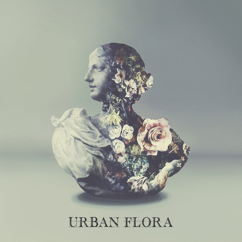 Alina Baraz Feat Galimatias Maybe Songtext Musixmatch Alina baraz & galimatias fantasy (teemid remix) cover art. musixmatch