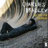 No Time for Dreaming Charles Bradley feat. Menahan Street Band - cover art