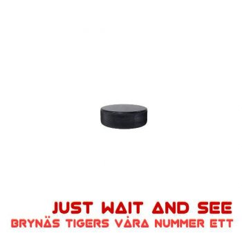 Letras Del Album Brynas Tigers Vara Nummer Ett De Just Wait And See Musixmatch El Catalogo De Letras Mas Grande Del Mundo