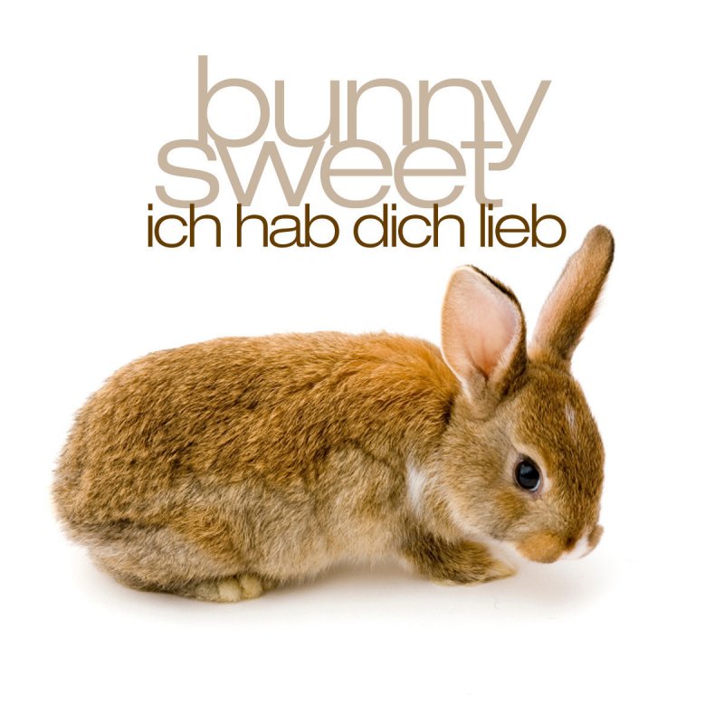 Lyrics for Ich Hab Dich Lieb by Bunny Sweet.