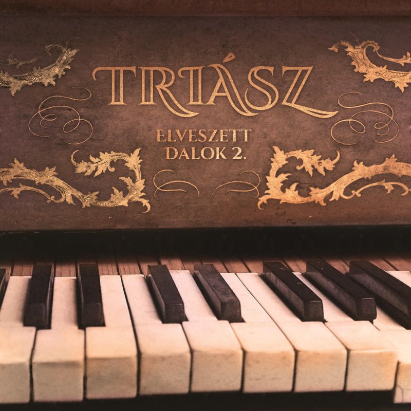 Triasz Csak A Szivemet Teszem Eled Lyrics Musixmatch