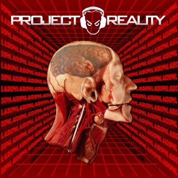 Project reality help yourself