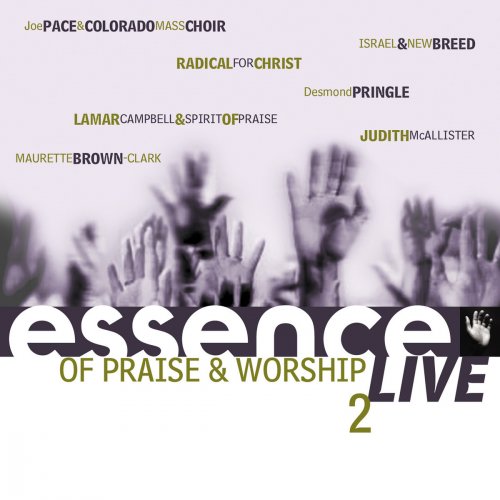 Essence Of Praise & Worship Vol. 2